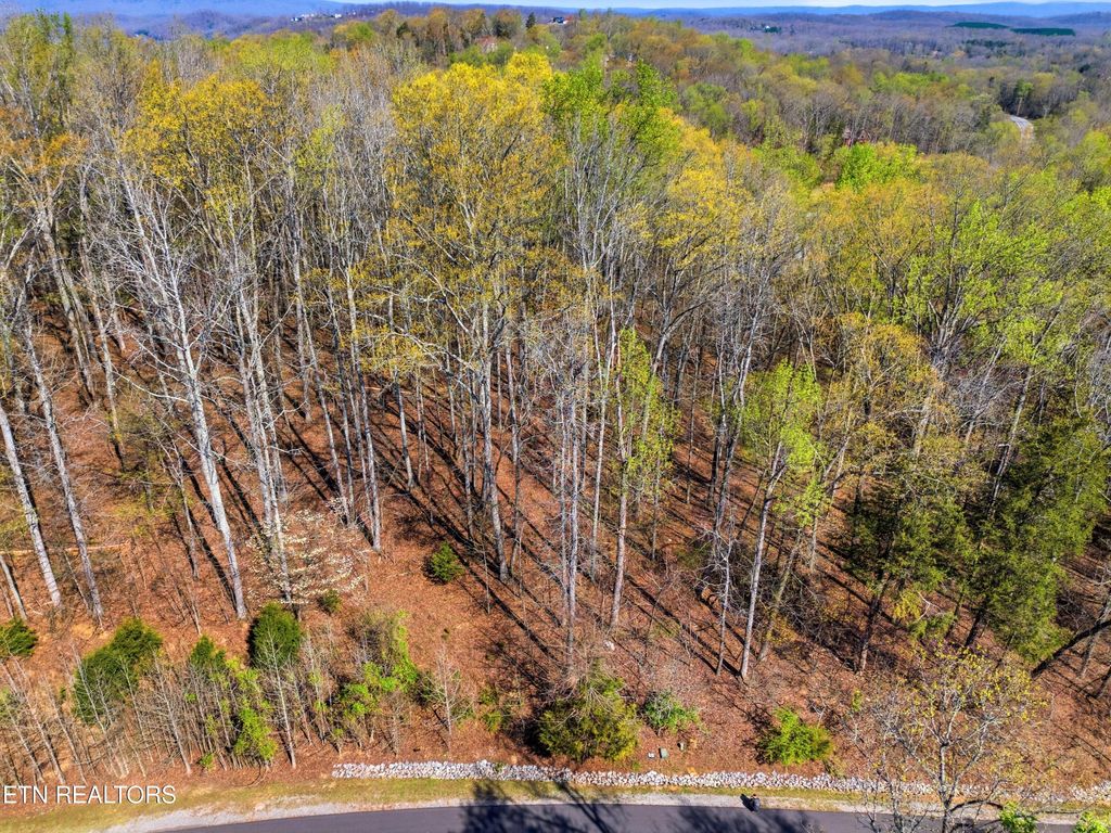 Photo of Lot 141 E Shore Drive, Rockwood, TN 37854 (MLS # 1334426)