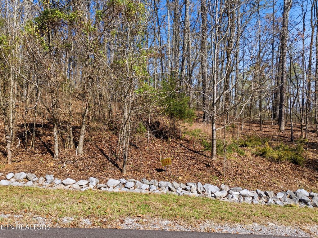 Photo of Lot 141 E Shore Drive, Rockwood, TN 37854 (MLS # 1334426)