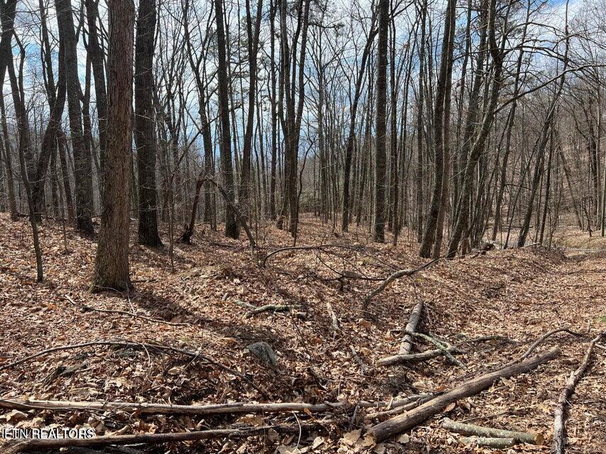 Photo of Swann Saddle, Sevierville, TN 37876 (MLS # 1358721)