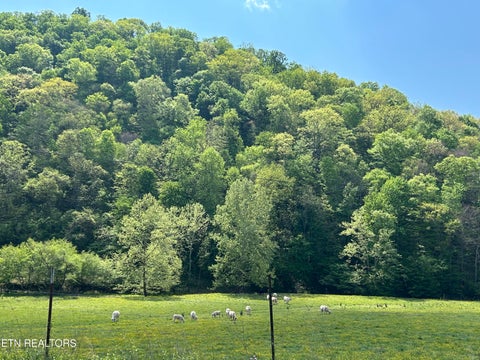 Photo of Trent Valley Rd Rd, Sneedville, TN 37869 (MLS # 1358151)