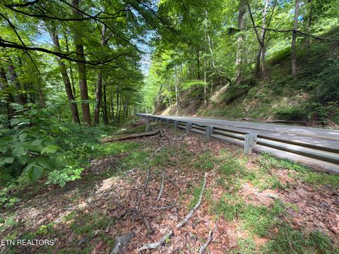 Photo of Wears Valley Rd Rd, Townsend, TN 37882 (MLS # 1340881)