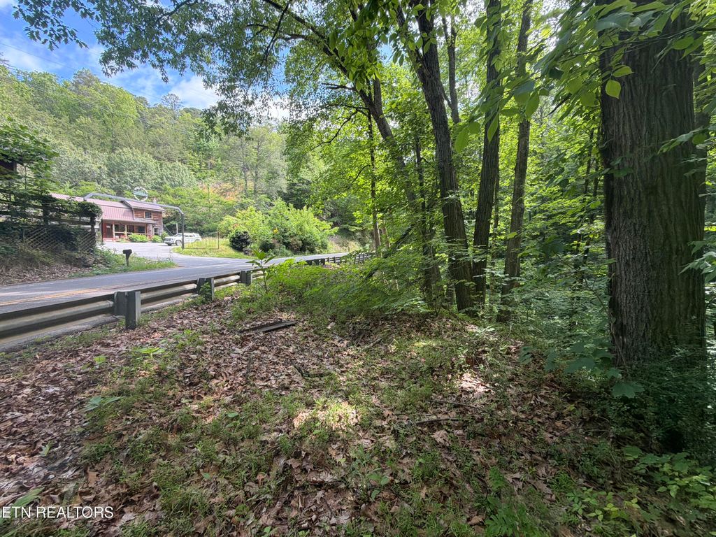 Photo of Wears Valley Rd Rd, Townsend, TN 37882 (MLS # 1340881)