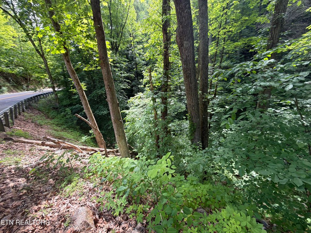 Photo of Wears Valley Rd Rd, Townsend, TN 37882 (MLS # 1340881)