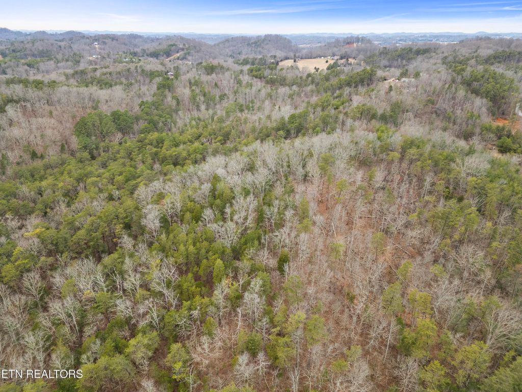 Photo of 3940 Allegheny Loop Rd, Maryville, TN 37803 (MLS # 1328540)