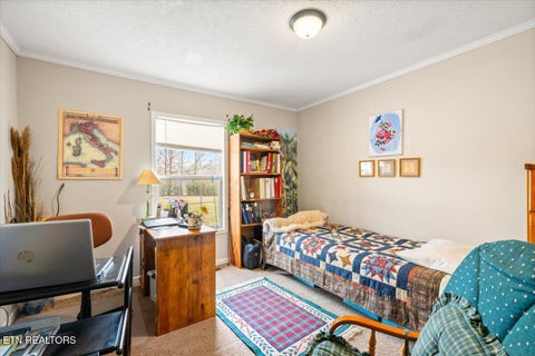Tiny photo for 2940 Grave Hill Rd, Oneida, TN 37841 (MLS # 1330530)