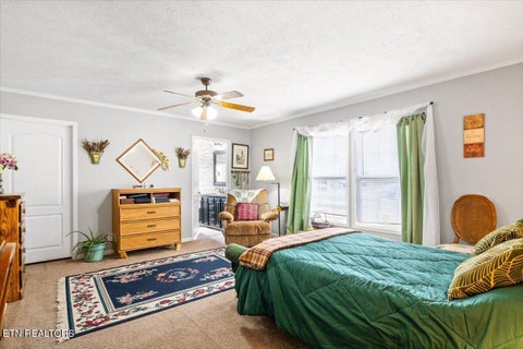 Tiny photo for 2940 Grave Hill Rd, Oneida, TN 37841 (MLS # 1330530)