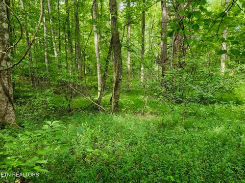 Tiny photo for 2 Timber Lake Drive, Cosby, TN 37722 (MLS # 1311820)