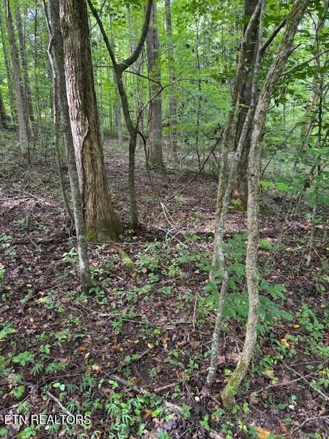 Tiny photo for 2 Timber Lake Drive, Cosby, TN 37722 (MLS # 1311820)