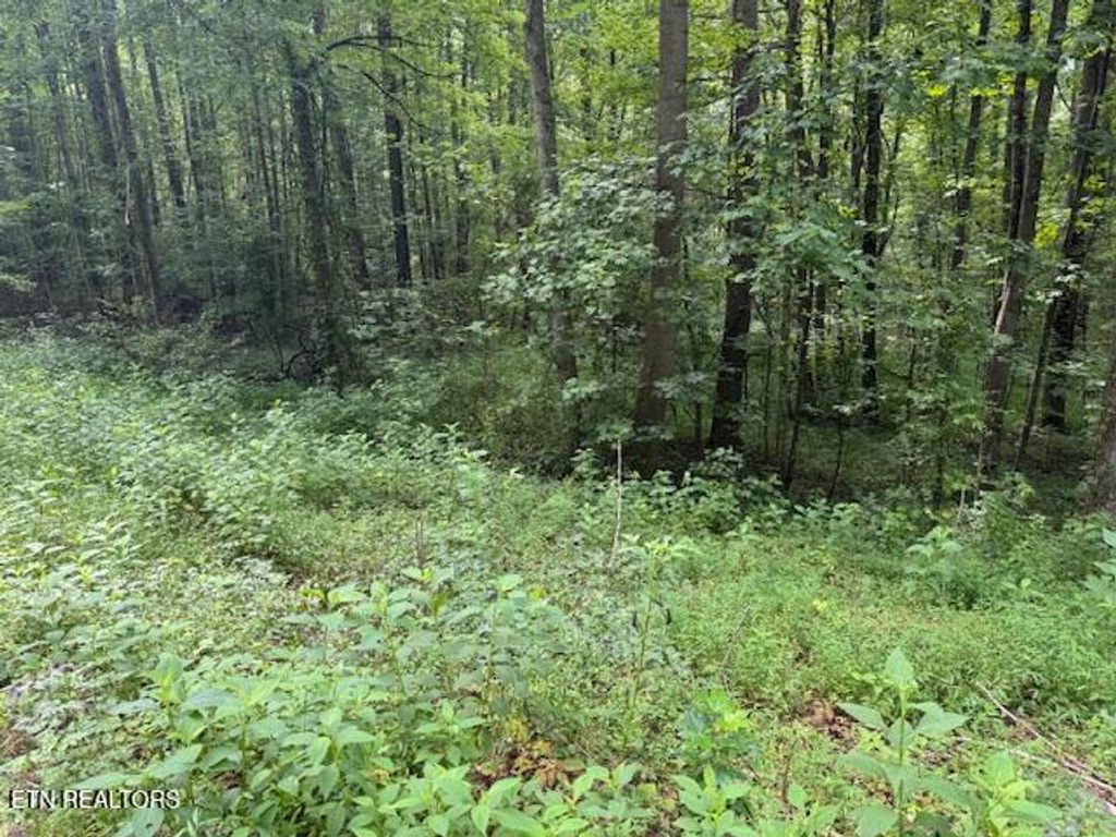 Photo of 2 Timber Lake Drive, Cosby, TN 37722 (MLS # 1311820)