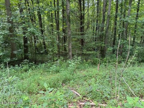 Tiny photo for 2 Timber Lake Drive, Cosby, TN 37722 (MLS # 1311820)