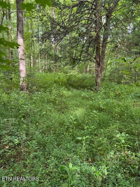 Tiny photo for 2 Timber Lake Drive, Cosby, TN 37722 (MLS # 1311820)