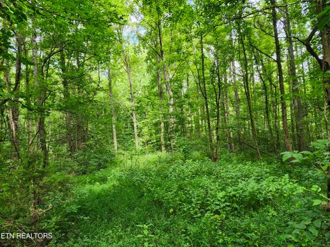 Tiny photo for 2 Timber Lake Drive, Cosby, TN 37722 (MLS # 1311820)