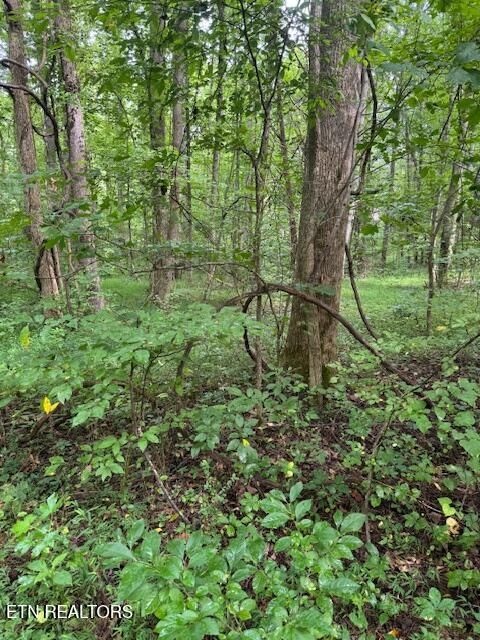 Tiny photo for 2 Timber Lake Drive, Cosby, TN 37722 (MLS # 1311820)