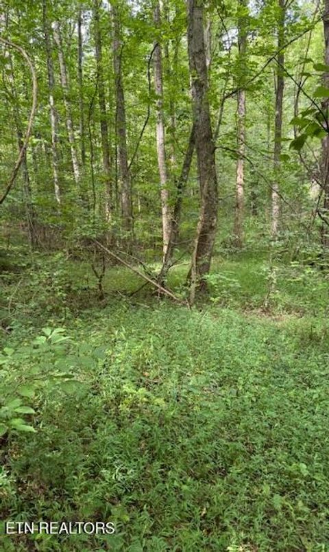 Tiny photo for 2 Timber Lake Drive, Cosby, TN 37722 (MLS # 1311820)
