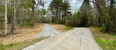Tiny photo for 13 Mill Creek Rd, Sunbright, TN 37872 (MLS # 1334512)