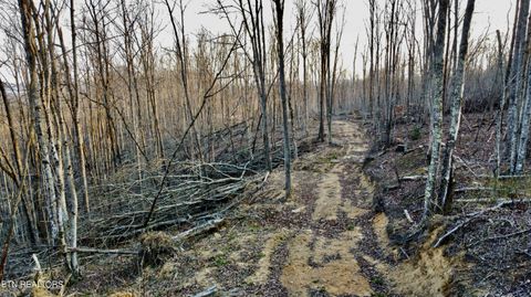 Tiny photo for 13 Mill Creek Rd, Sunbright, TN 37872 (MLS # 1334512)