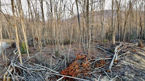 Tiny photo for 13 Mill Creek Rd, Sunbright, TN 37872 (MLS # 1334512)