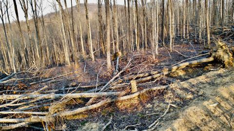 Tiny photo for 13 Mill Creek Rd, Sunbright, TN 37872 (MLS # 1334512)