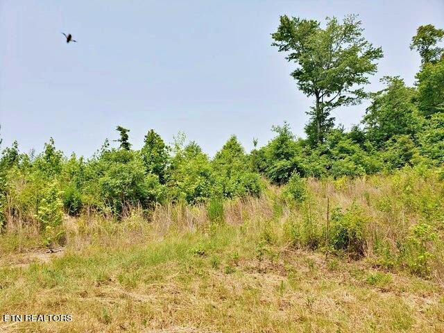 169 County Road 188