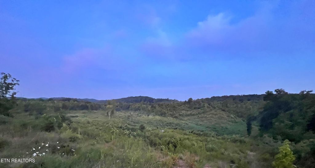 Photo of 169 County Road 188, Decatur, TN 37322 (MLS # 1262110)