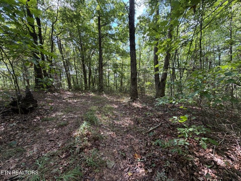 Photo of 361 Long View Lane, Jamestown, TN 38556 (MLS # 1355300)