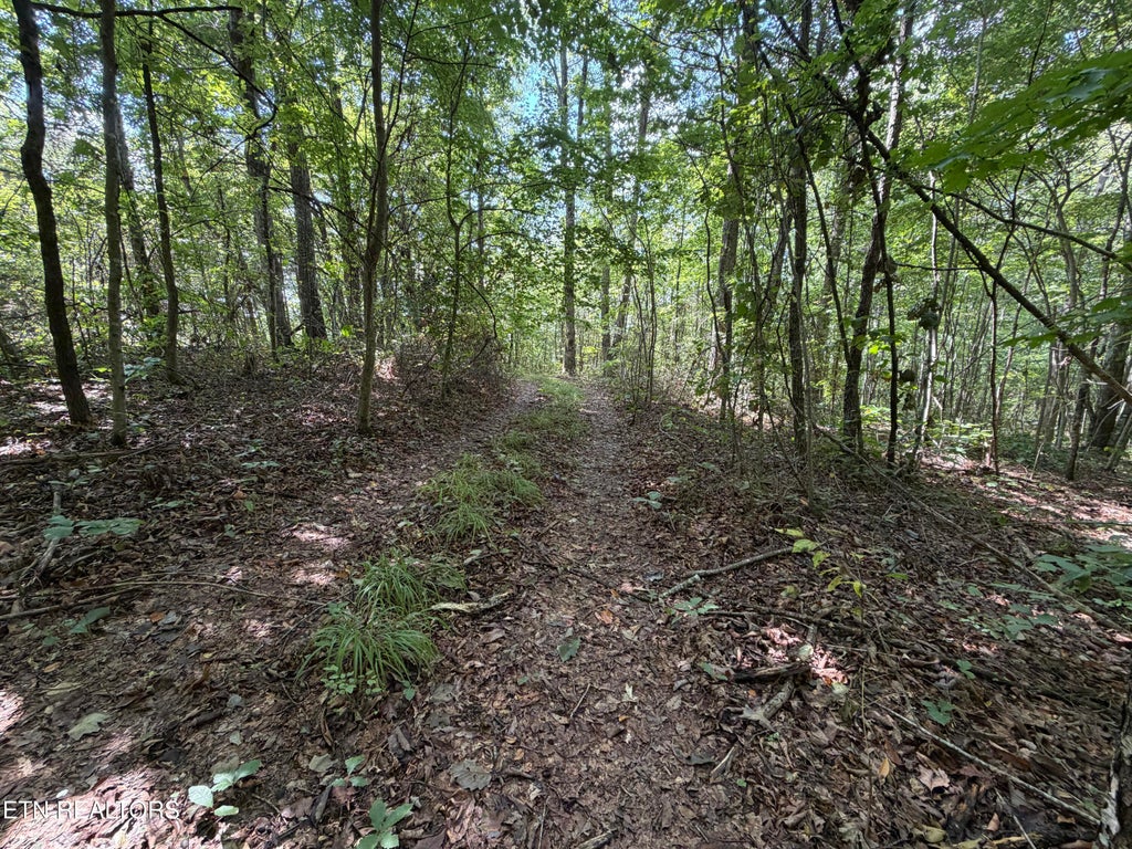 Photo of 361 Long View Lane, Jamestown, TN 38556 (MLS # 1355300)