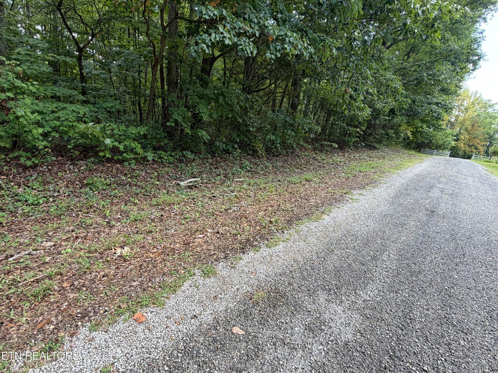 Photo of 361 Long View Lane, Jamestown, TN 38556 (MLS # 1355300)