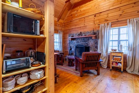Tiny photo for 438 Starr Mountain Rd, Tellico Plains, TN 37385 (MLS # 1324708)