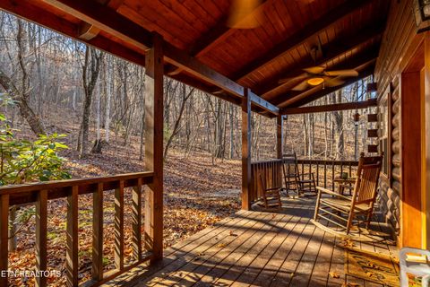 Tiny photo for 438 Starr Mountain Rd, Tellico Plains, TN 37385 (MLS # 1324708)
