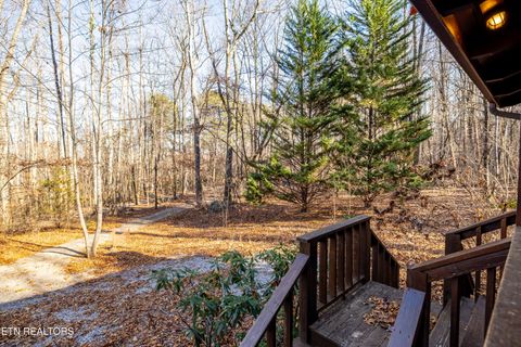 Tiny photo for 438 Starr Mountain Rd, Tellico Plains, TN 37385 (MLS # 1324708)