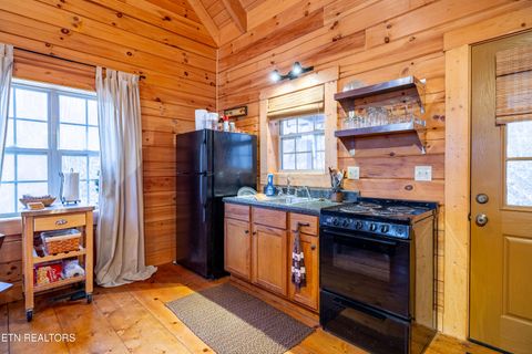 Tiny photo for 438 Starr Mountain Rd, Tellico Plains, TN 37385 (MLS # 1324708)