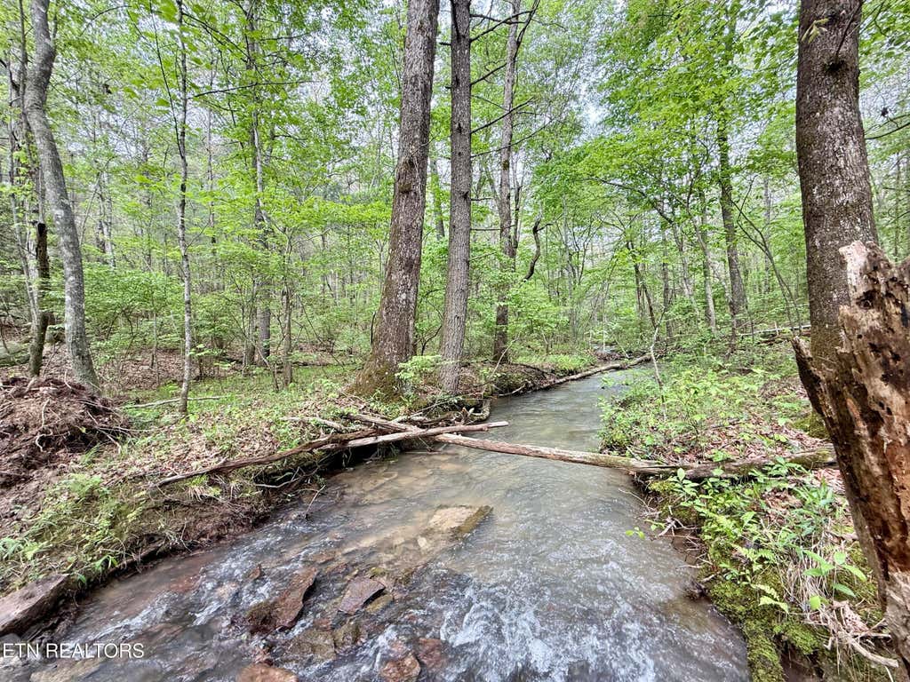Photo of Christenson Rd, Deer Lodge, TN 37726 (MLS # 1301991)