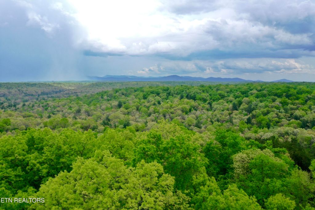 Photo of Christenson Rd, Deer Lodge, TN 37726 (MLS # 1301991)
