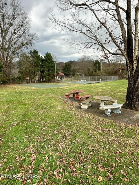 Tiny photo for 94 Highway 73, Townsend, TN 37882 (MLS # 1335861)