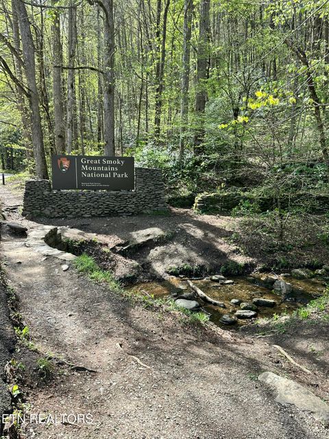 Tiny photo for 94 Highway 73, Townsend, TN 37882 (MLS # 1335861)