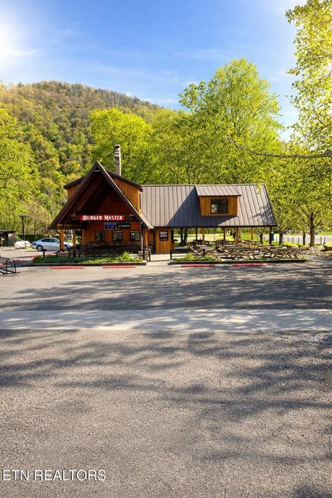 Tiny photo for 94 Highway 73, Townsend, TN 37882 (MLS # 1335861)