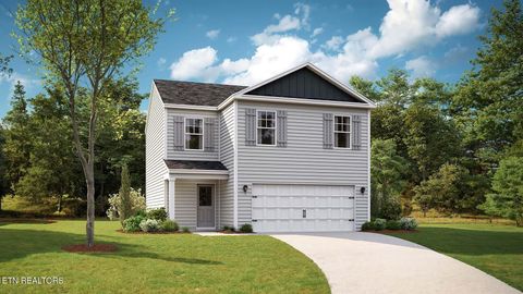 817 Joseph Francis Way Clinton TN 37716
