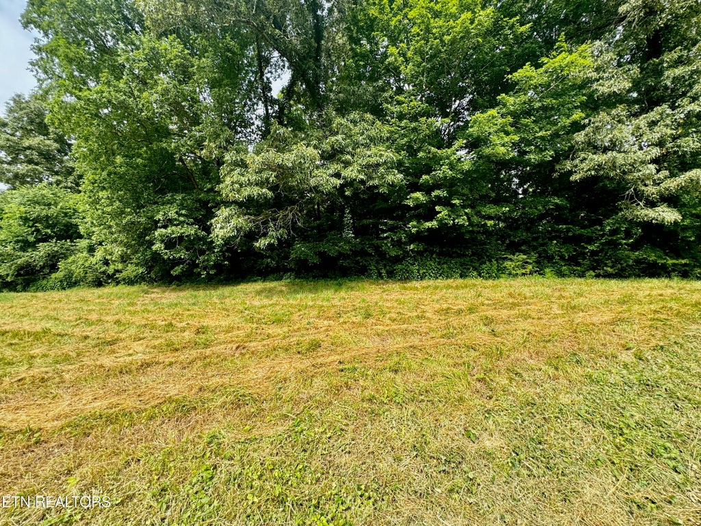 Photo of Robinson Lane, Decatur, TN 37322 (MLS # 1270824)