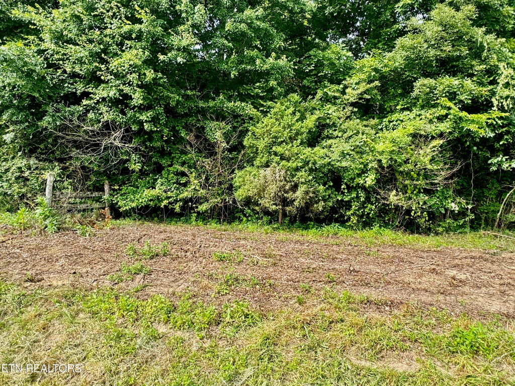 Photo of Robinson Lane, Decatur, TN 37322 (MLS # 1270824)