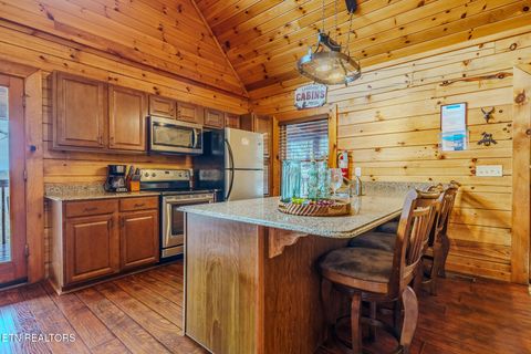 Tiny photo for 1038 Willard Way, Sevierville, TN 37876 (MLS # 1325908)