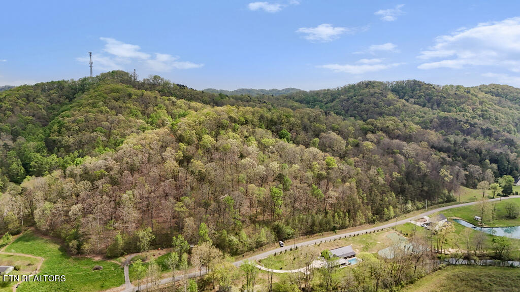 Pumpkin Hollow Rd