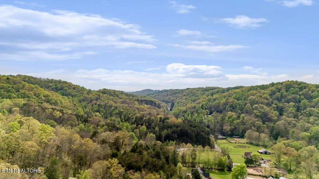 Pumpkin Hollow Rd
