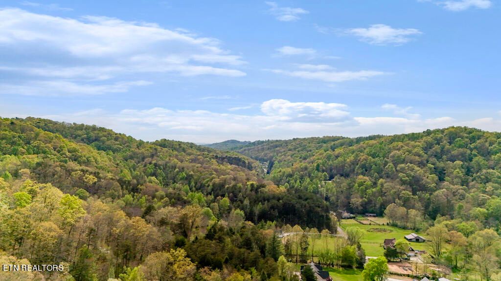 Photo of Pumpkin Hollow Rd, Heiskell, TN 37754 (MLS # 1260242)