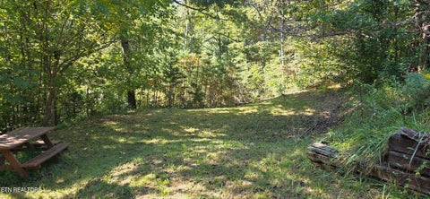 Tiny photo for 829 W Gold Dust Drive, Pigeon Forge, TN 37863 (MLS # 1357533)