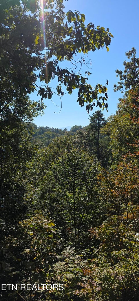 Tiny photo for 829 W Gold Dust Drive, Pigeon Forge, TN 37863 (MLS # 1357533)