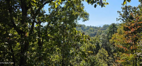 Tiny photo for 829 W Gold Dust Drive, Pigeon Forge, TN 37863 (MLS # 1357533)