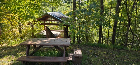 Tiny photo for 829 W Gold Dust Drive, Pigeon Forge, TN 37863 (MLS # 1357533)