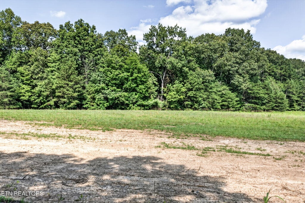 Photo of 13 Smith Mountain Rd, Rockwood, TN 37854 (MLS # 1353051)