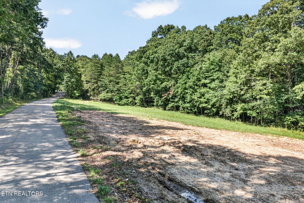 Photo of 13 Smith Mountain Rd, Rockwood, TN 37854 (MLS # 1353051)