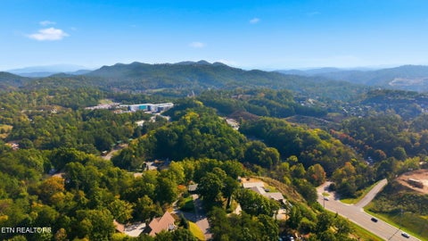 Tiny photo for 2969 Veterans Blvd, Pigeon Forge, TN 37863 (MLS # 1359486)
